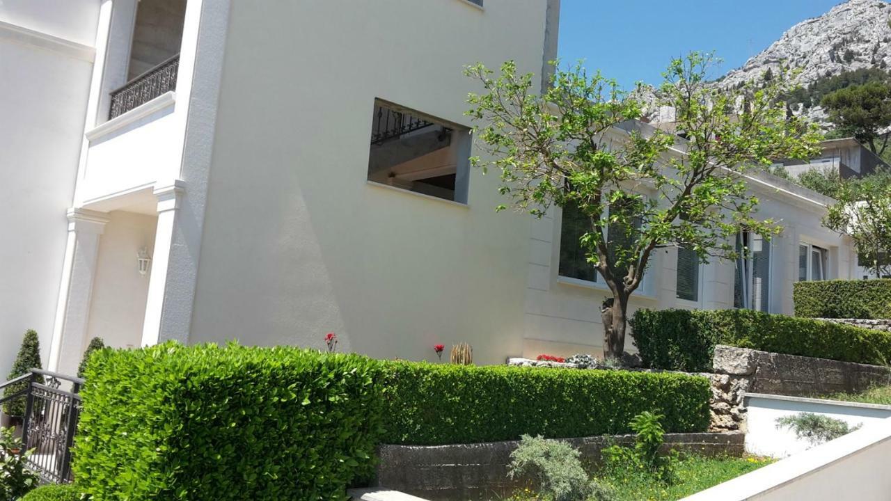 Guest House Fenix เบรลา ภายนอก รูปภาพ